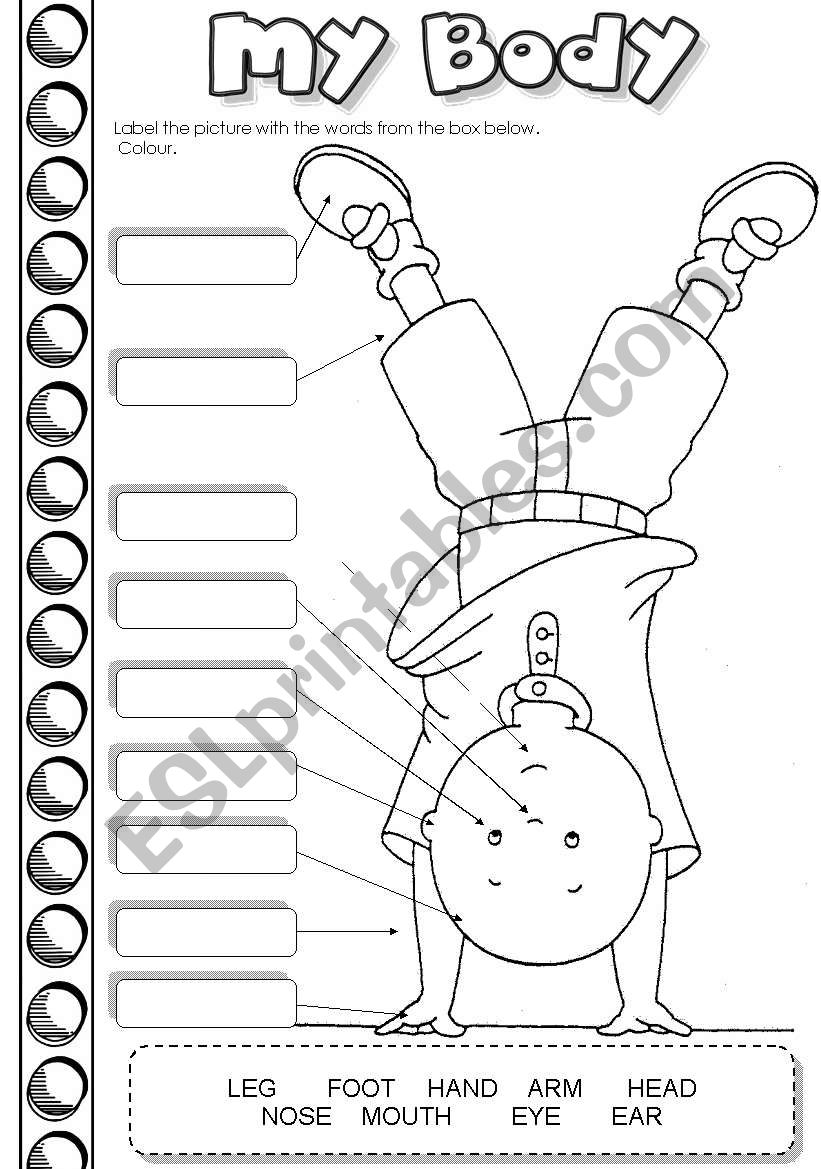 Caillous body worksheet