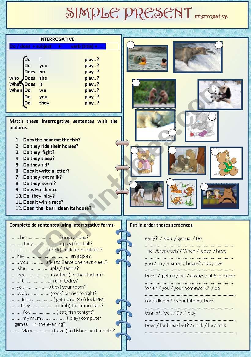 simple present ,interrogative worksheet