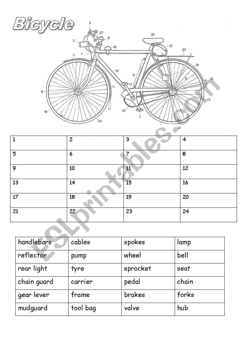 Parts of a Bicycle worksheet