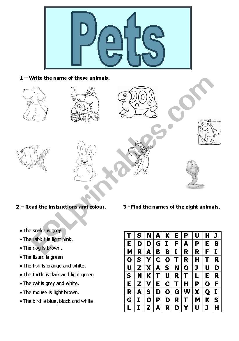 Animals - pets worksheet