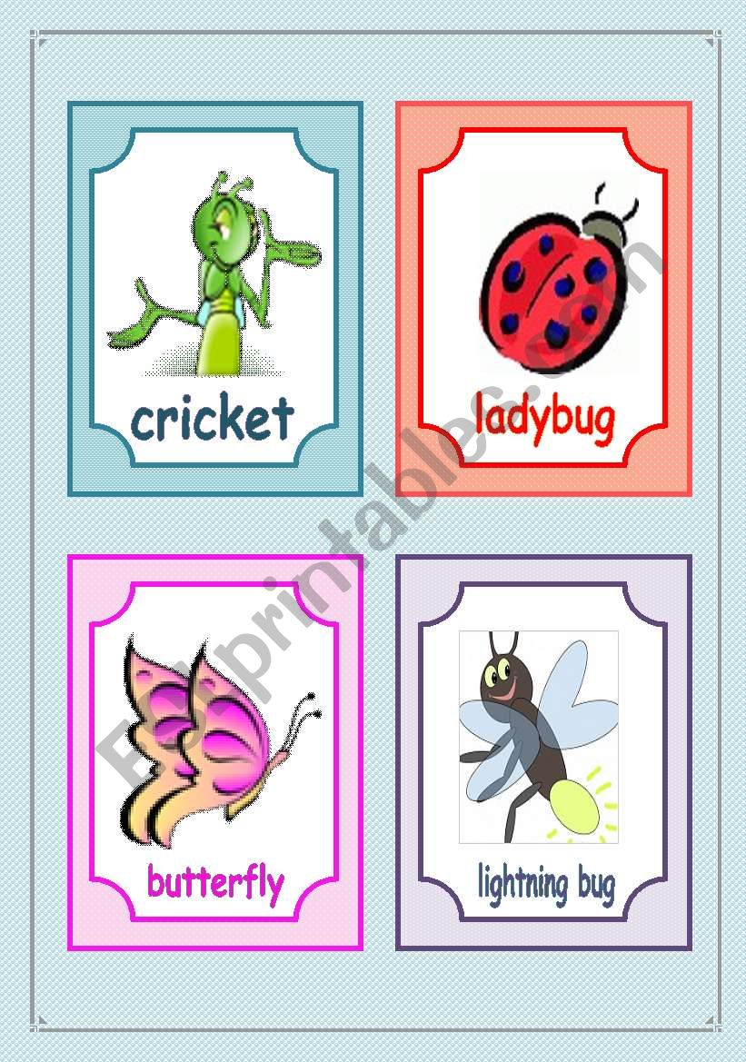 Insects flashcards - fully editable