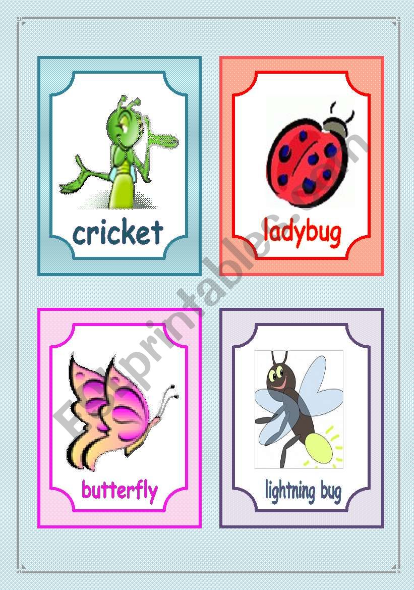 Insects Flashcards Fully Editable ESL Worksheet By Sara26 Insects Flashcards Fully Editable ESL Worksheet By Sara26
