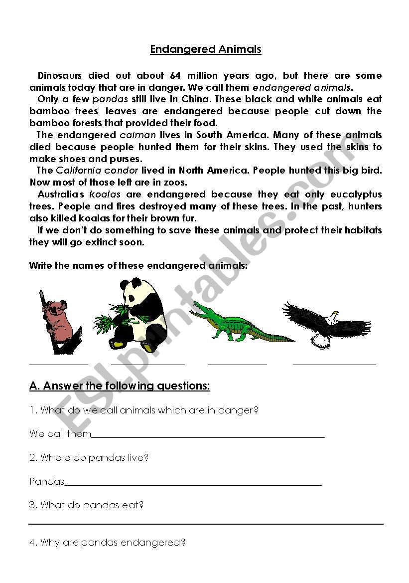 Endangered Animals worksheet