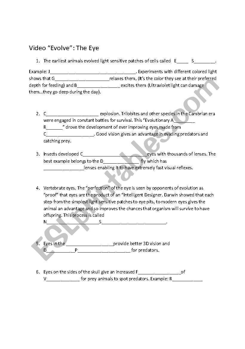 Evolve: The Eye worksheet