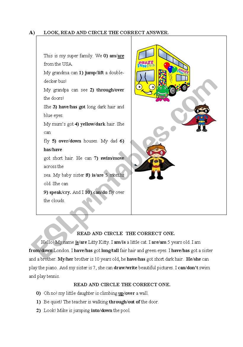 can and present continuous tense ws