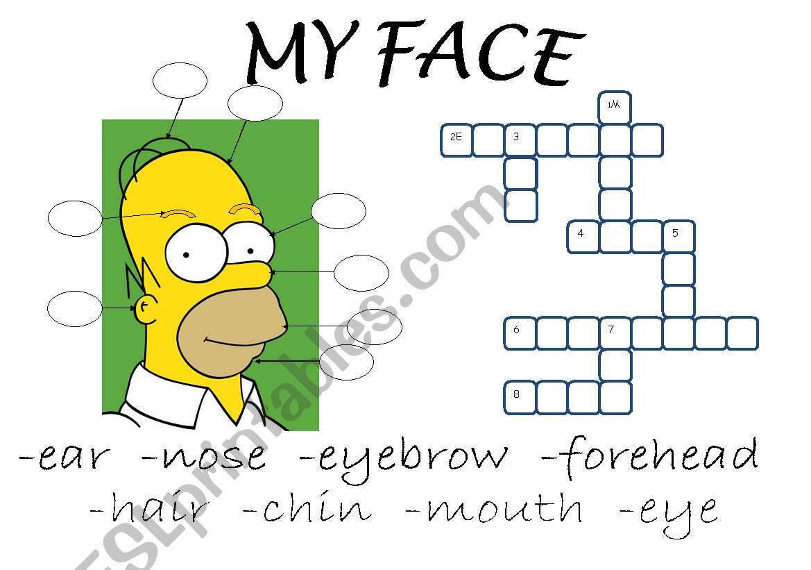 My Face worksheet