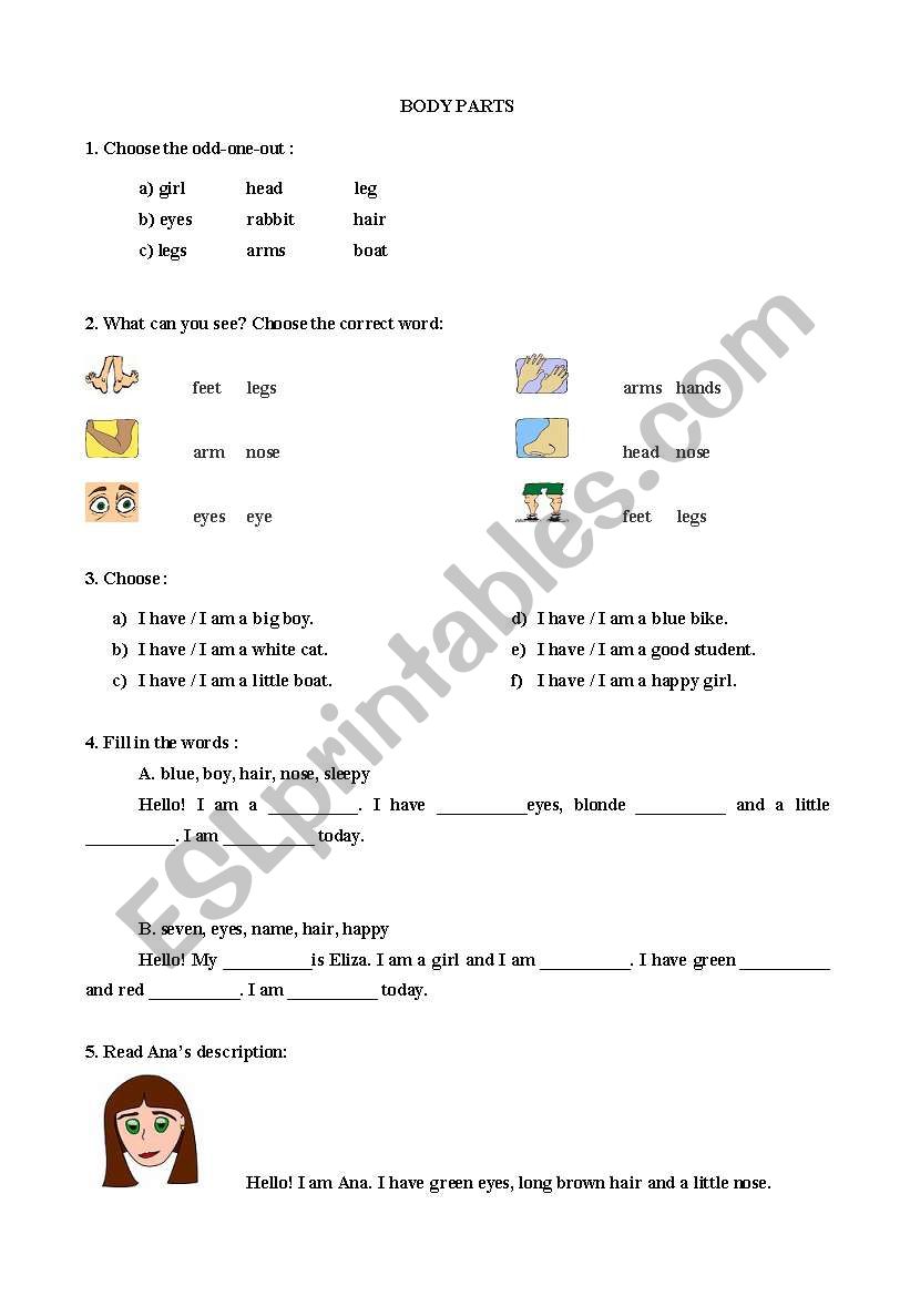 body parts worksheet