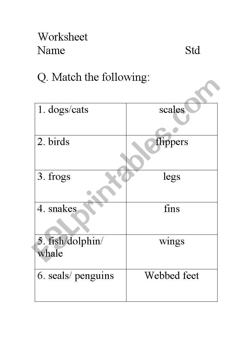 azaming animal worksheet