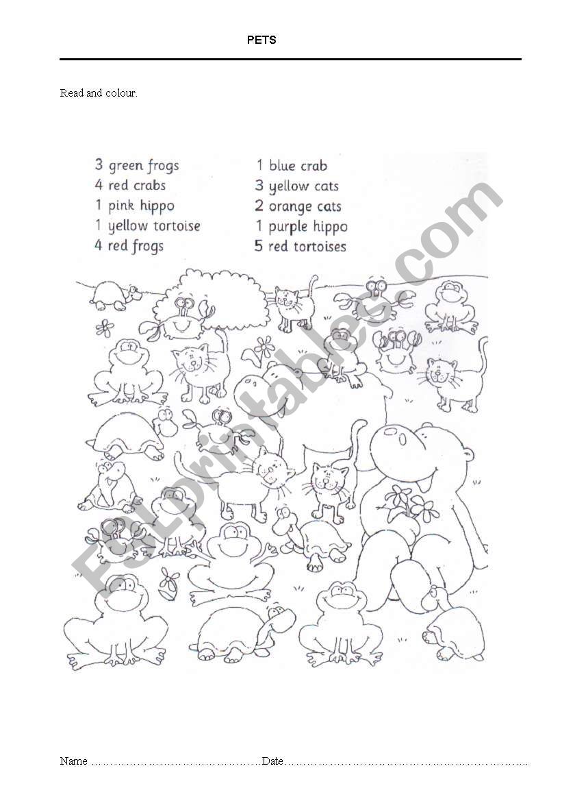 Pets 2 worksheet