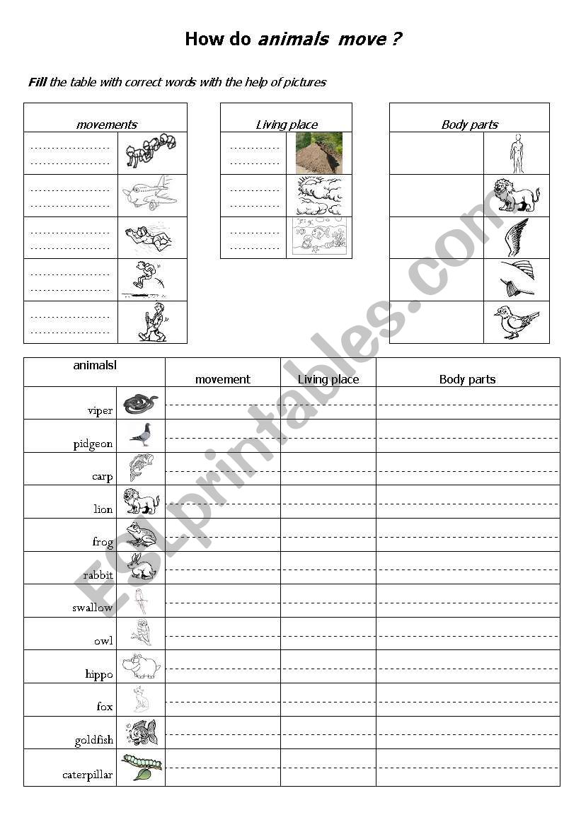 the movement of animals worksheet