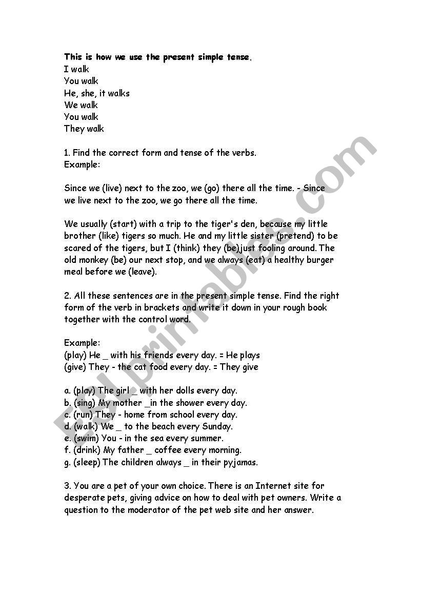 The Simple Present Tense worksheet