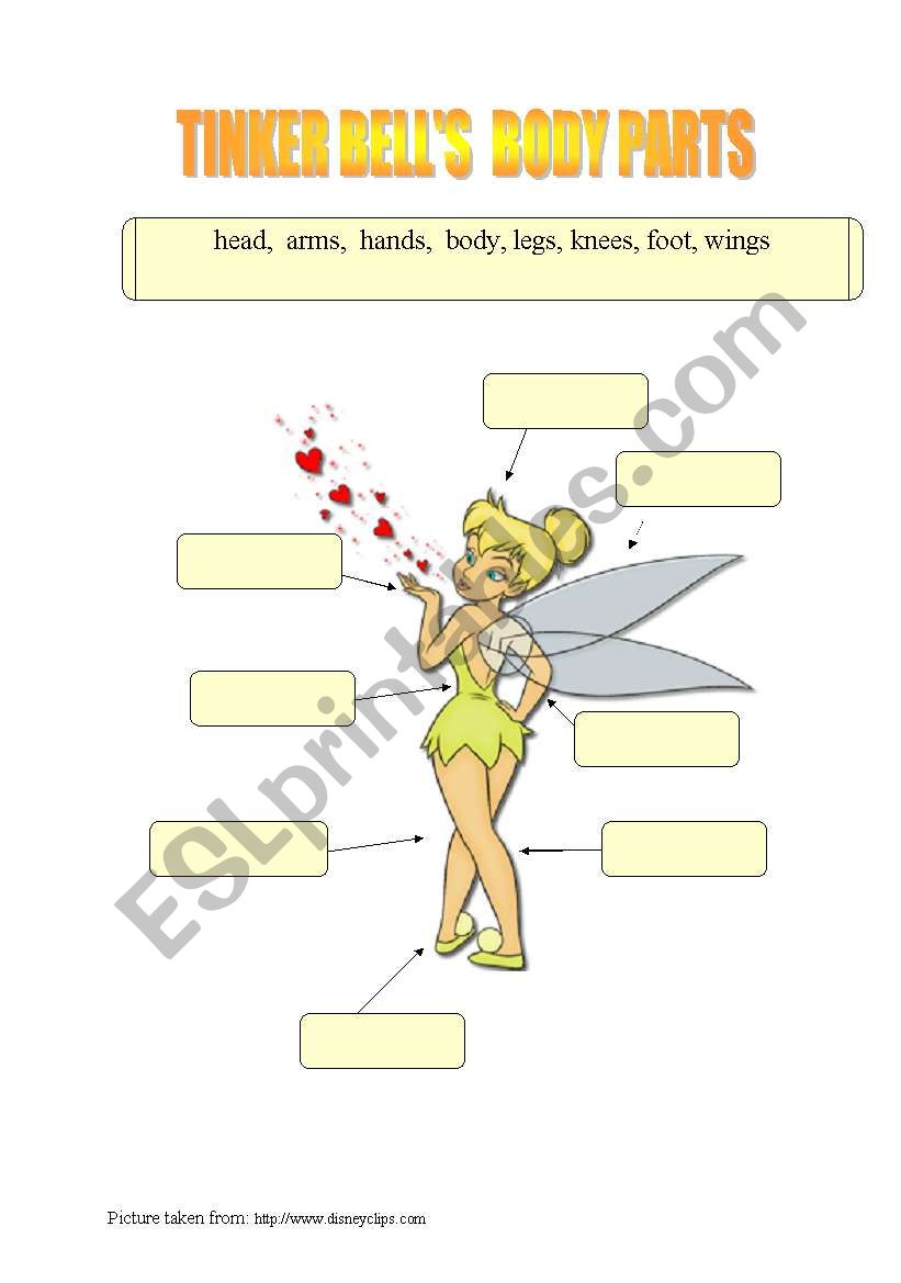 Tinker Bell´s Body Parts and Face