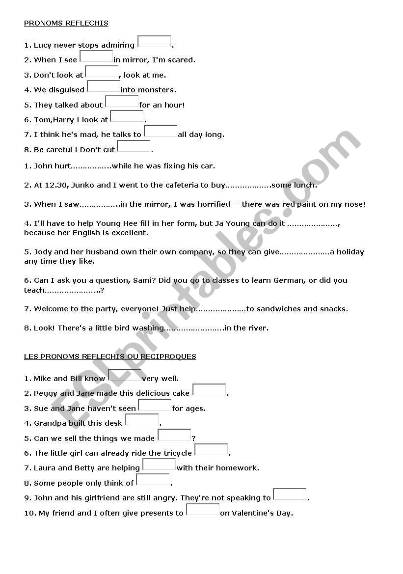 Pronoms Reflechis worksheet