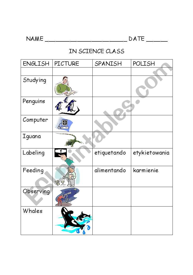 in the science room worksheet