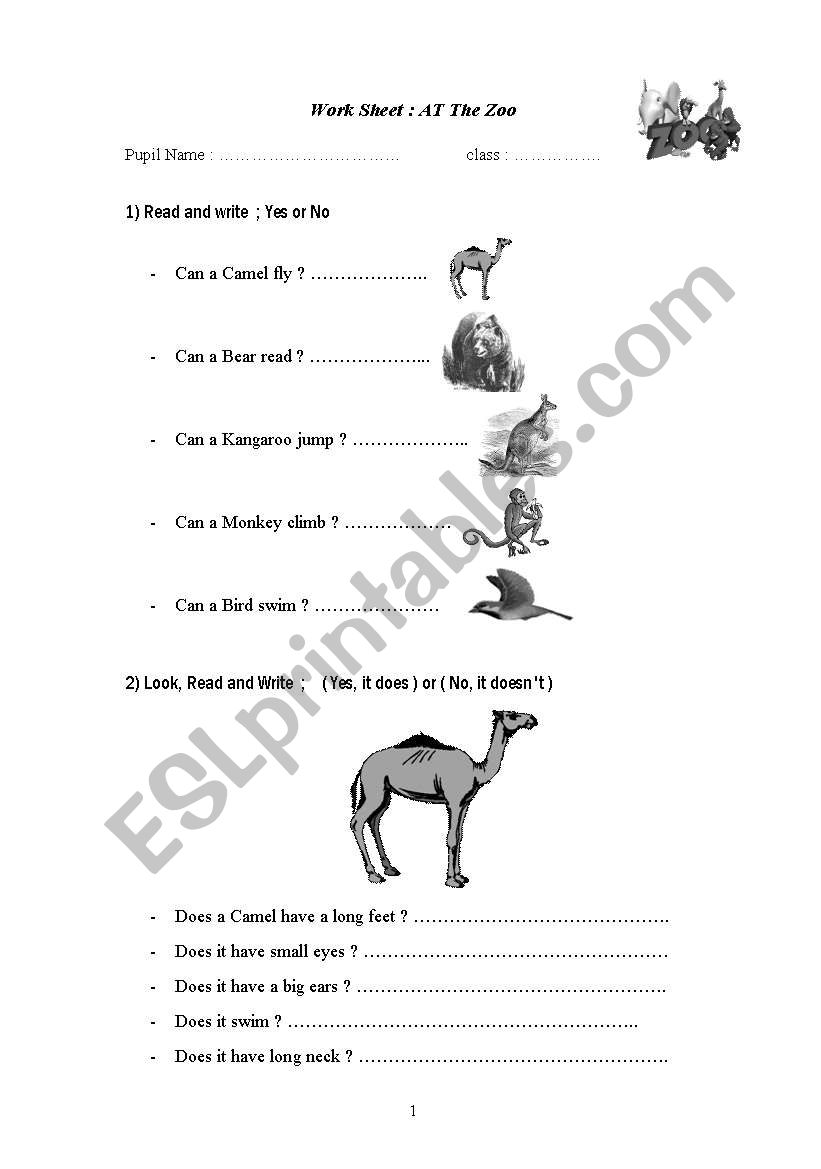 animal  worksheet