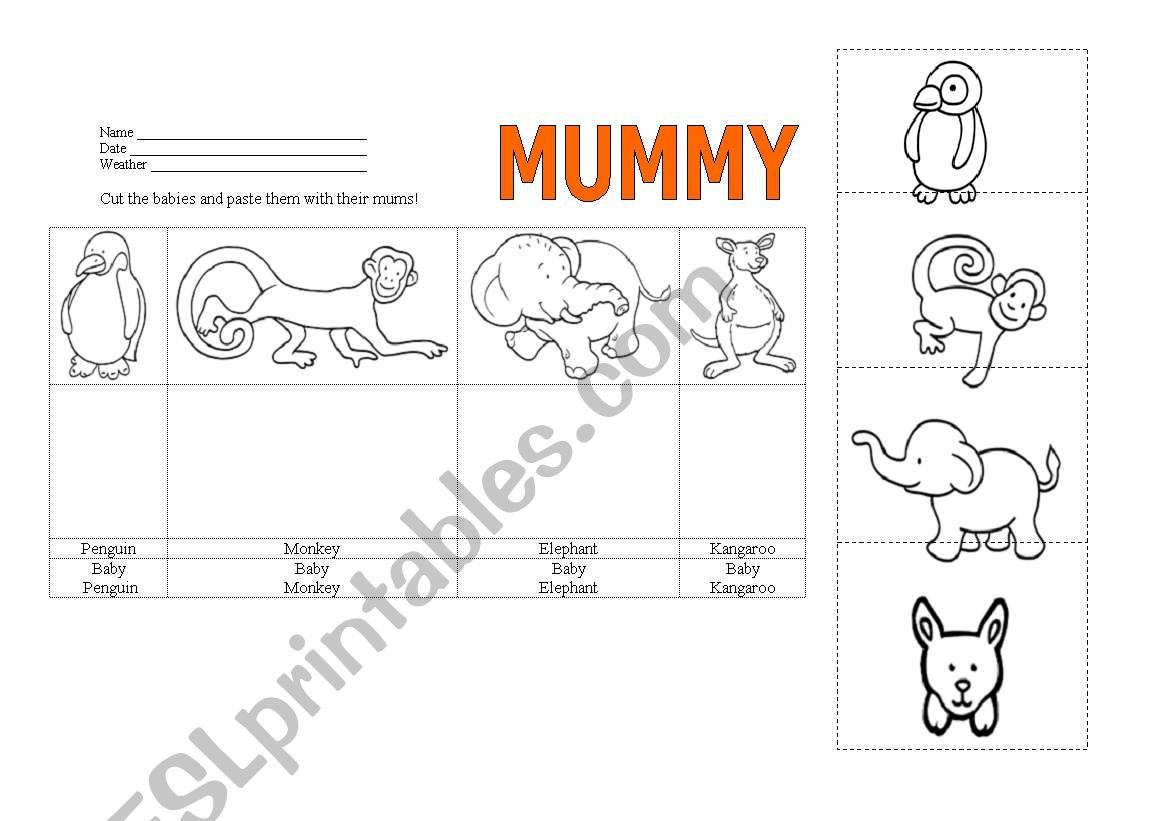 ANIMALS worksheet