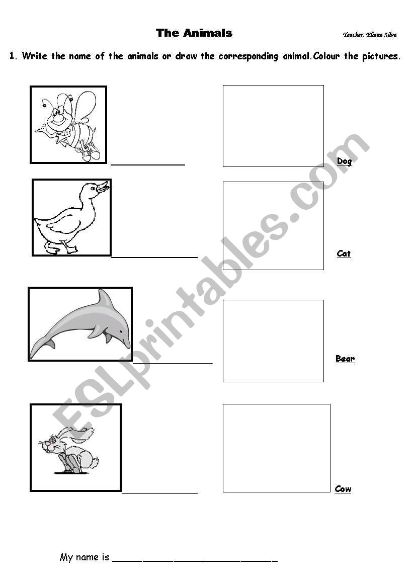 ANIMALS worksheet