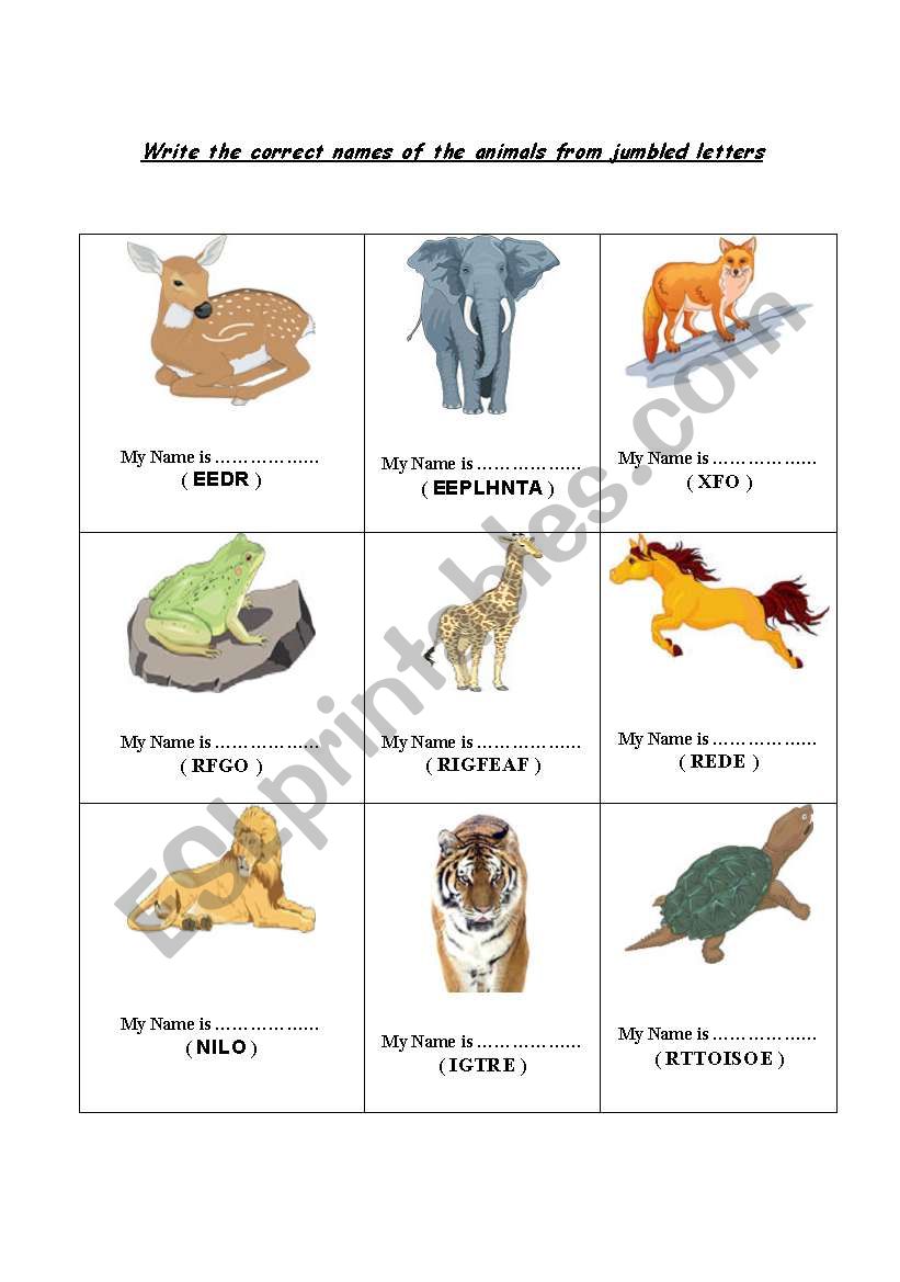 Animal Names worksheet