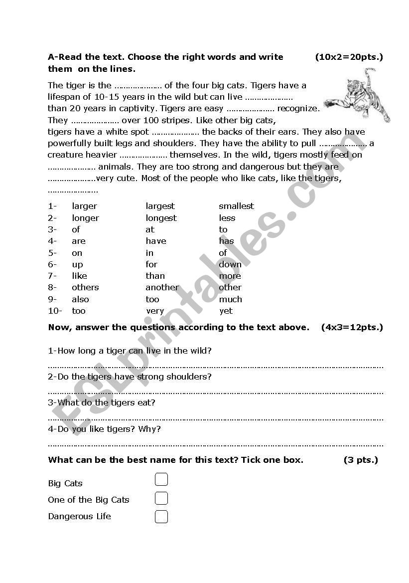 Tigers worksheet