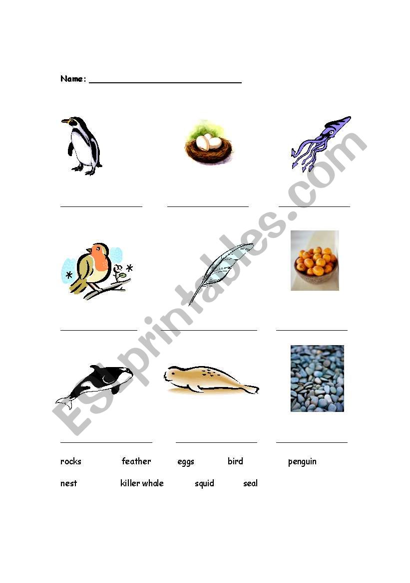 Penguin Vocabulary Match worksheet