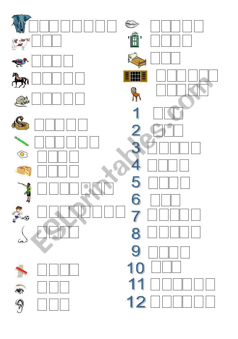 Write the whole word worksheet