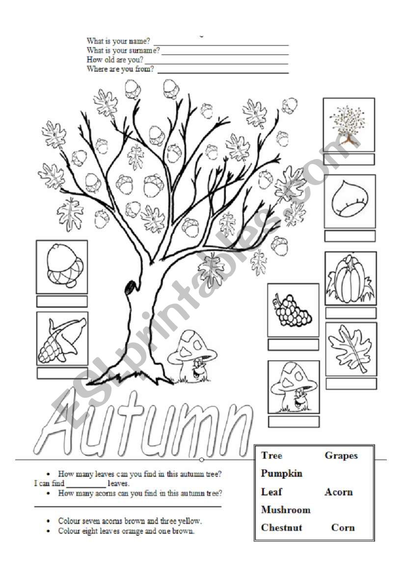 Autumn Free Worksheets