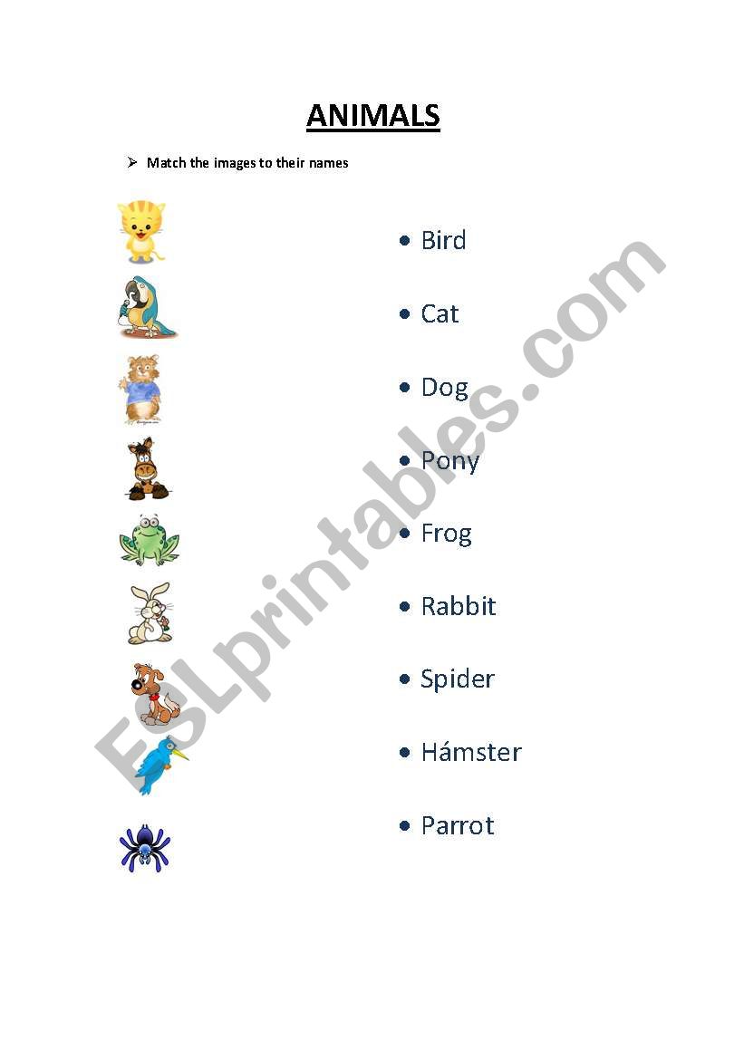 Animals worksheet