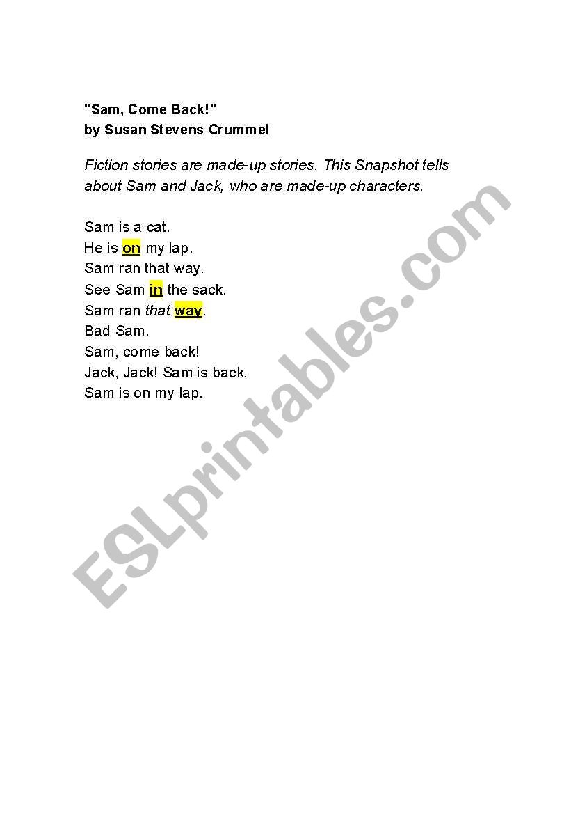 ws worksheet