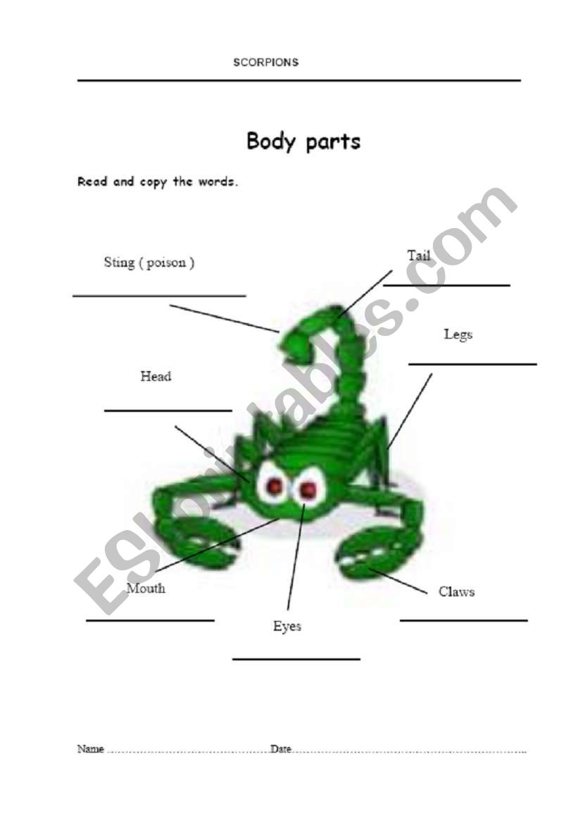 Scorpions 2 worksheet