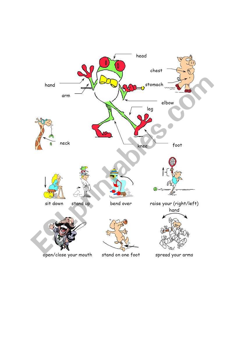 Body worksheet