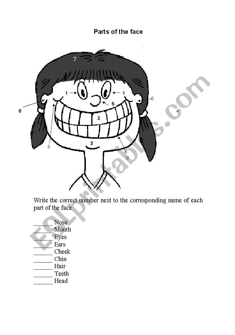 parts of the face worksheets worksheet