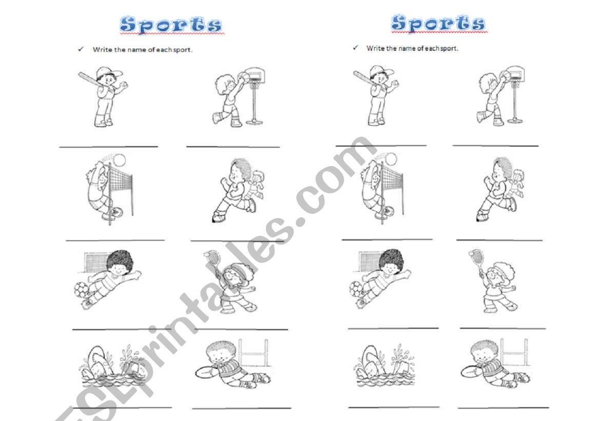 Sports! worksheet