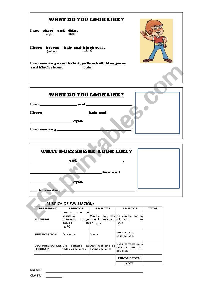 WHAT DO YOU LOOK LIKE? worksheet
