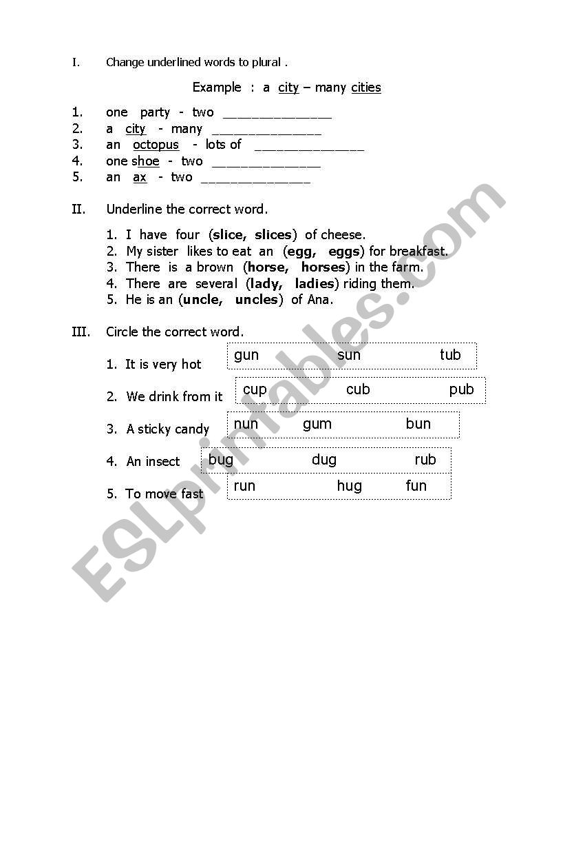 Singular to Plural worksheet plus simple vocabulary words