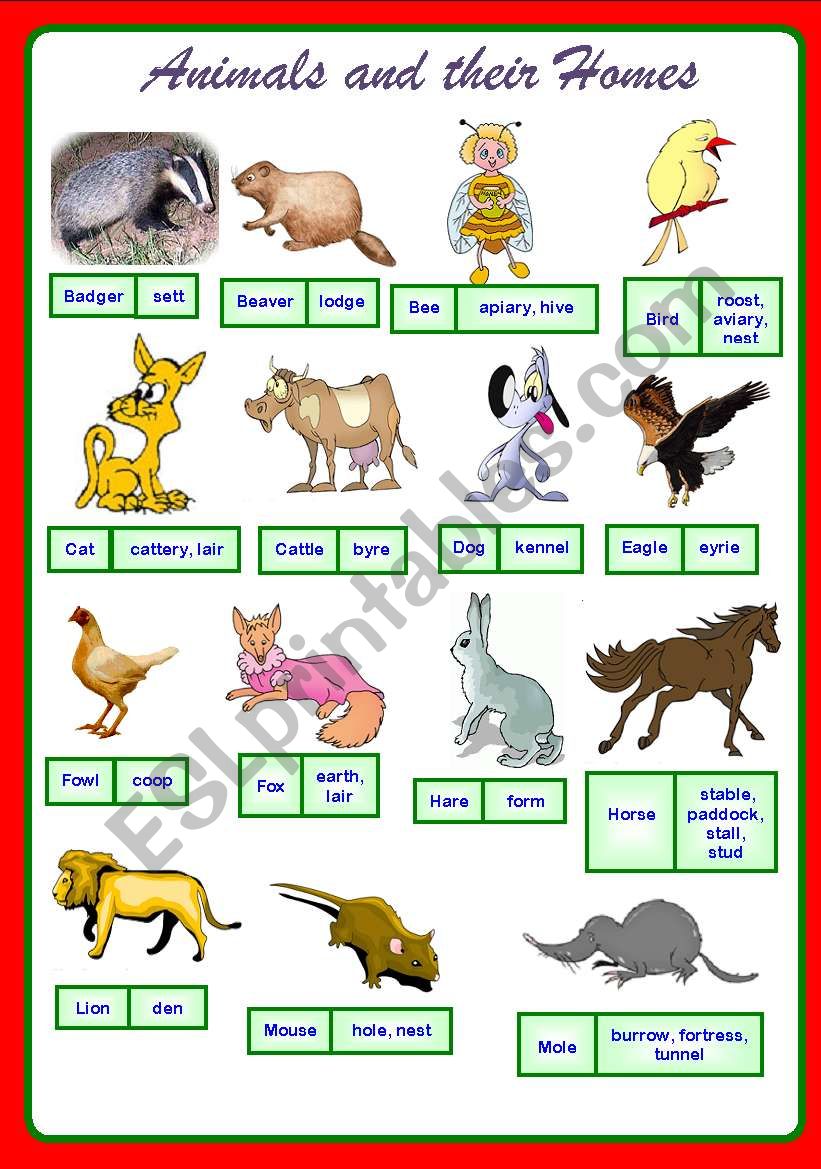 English Worksheets Animals And Their Homes - Gambaran