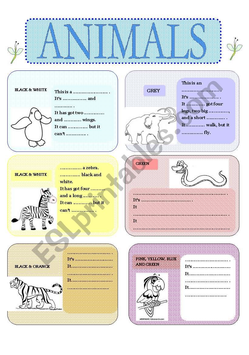 Animals worksheet