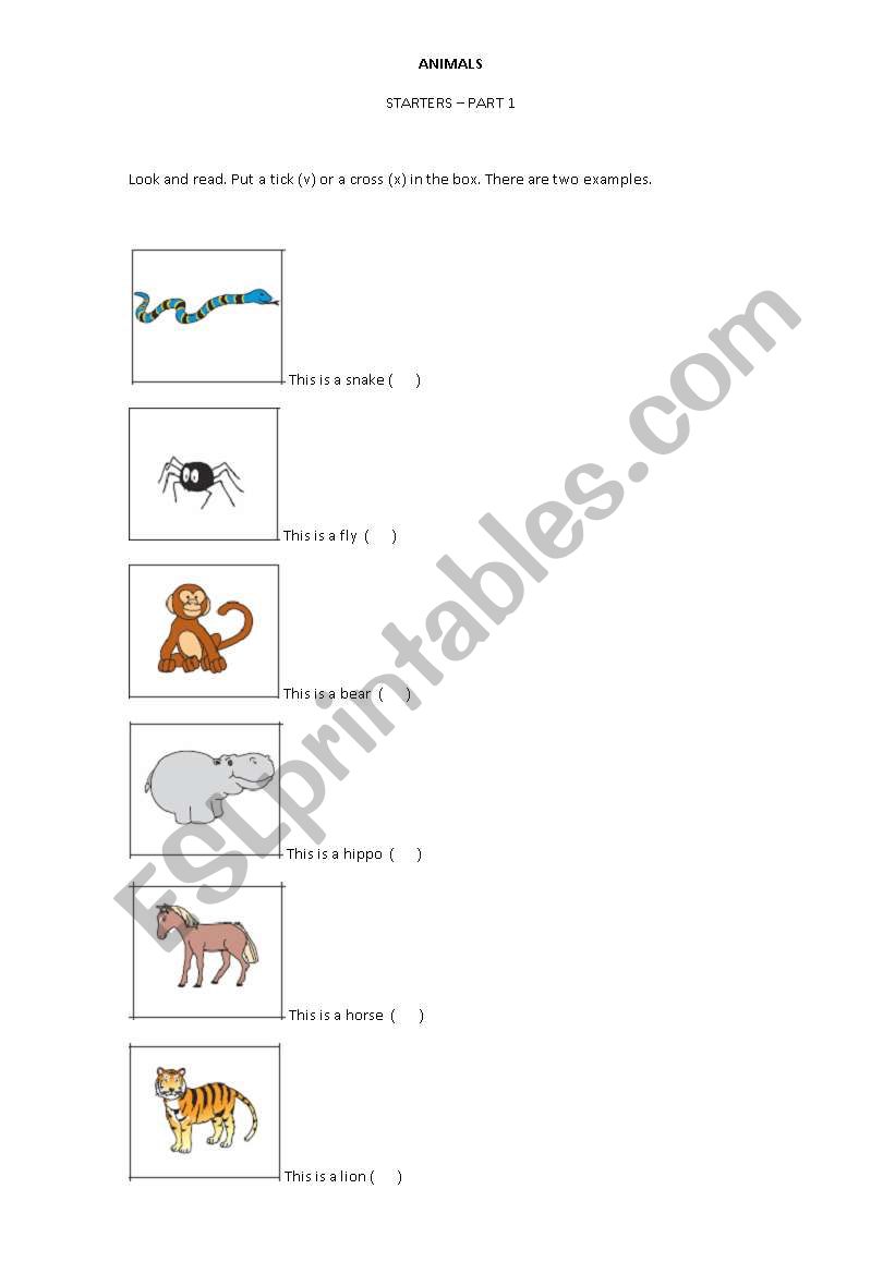 Starters - Part 1 - Animals VOcabulary - Cambridge YLE test