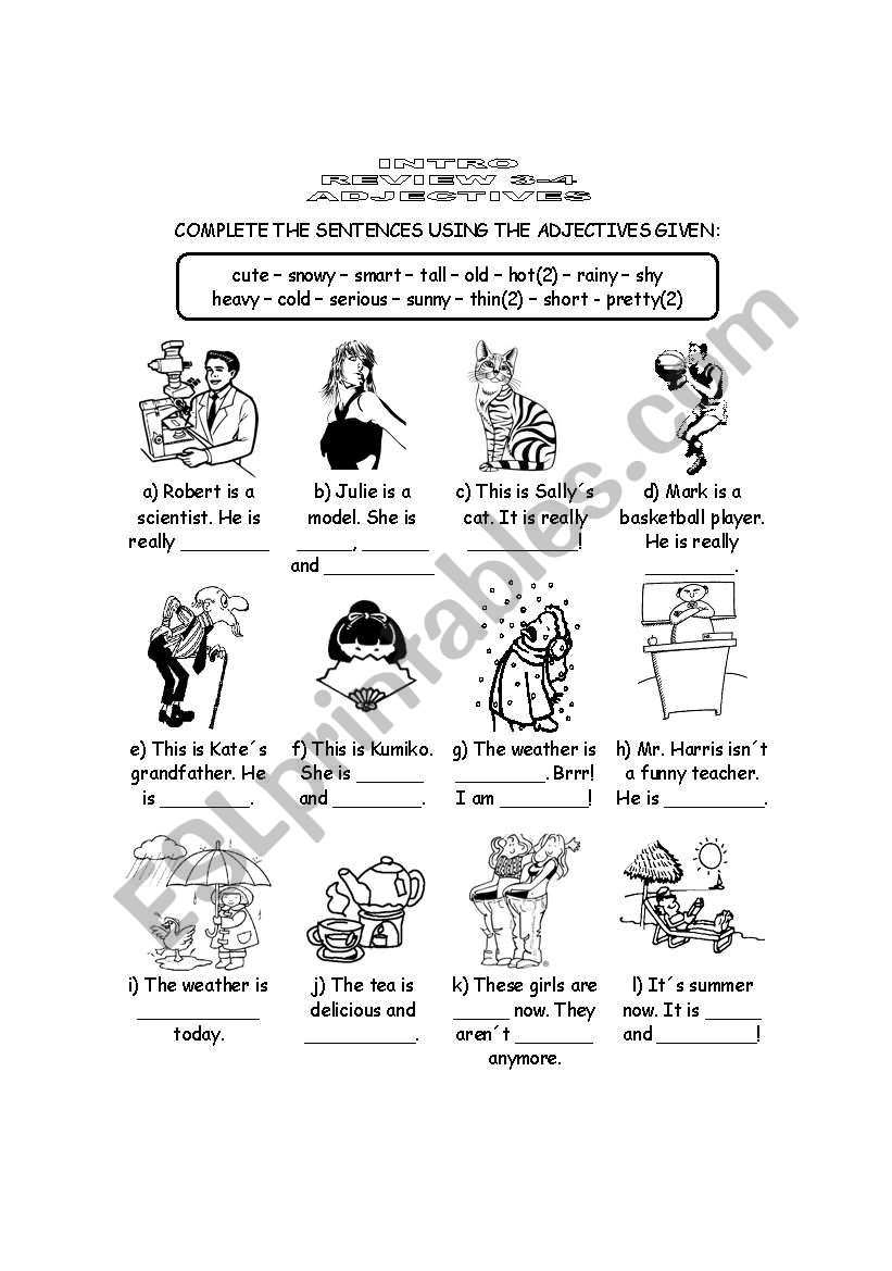 ADJECTIVE EXERCISE worksheet