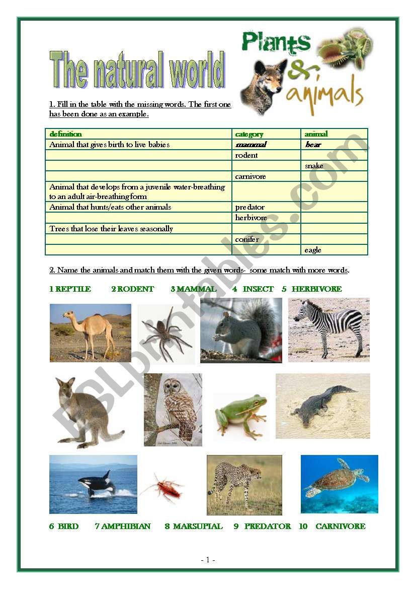 The natural world worksheet