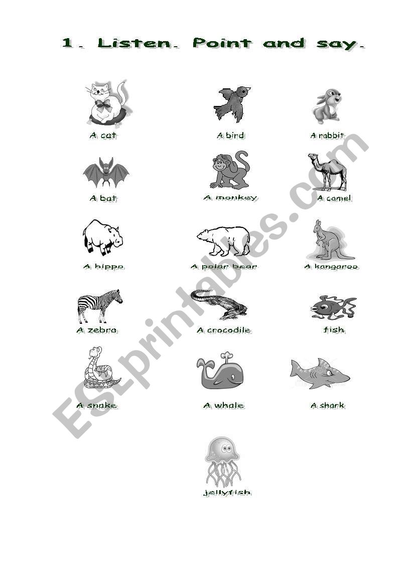 animals worksheet