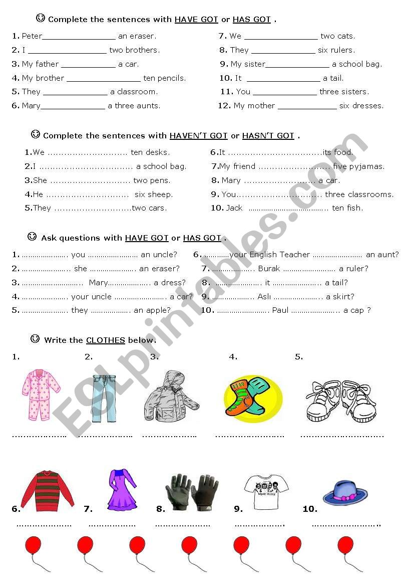 have got has got worksheet