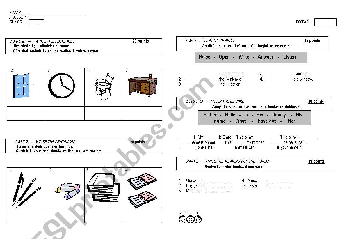 singulars plurals worksheet