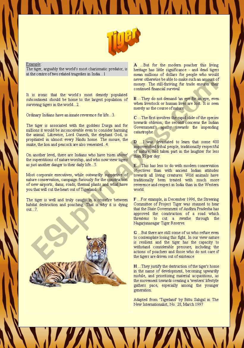 Tiger worksheet