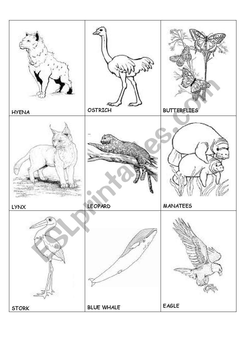 English worksheets animals in danger 1 