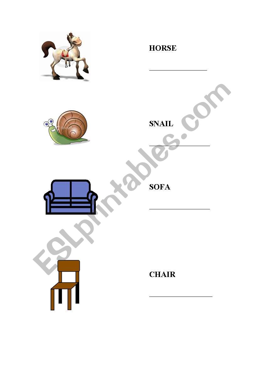 Fast & Slow; Hard & Soft worksheet