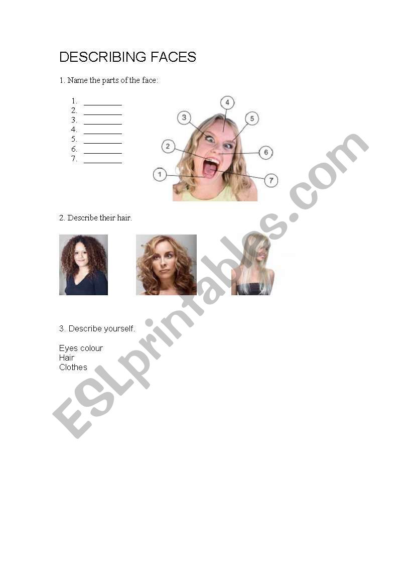 Face and hair worksheet