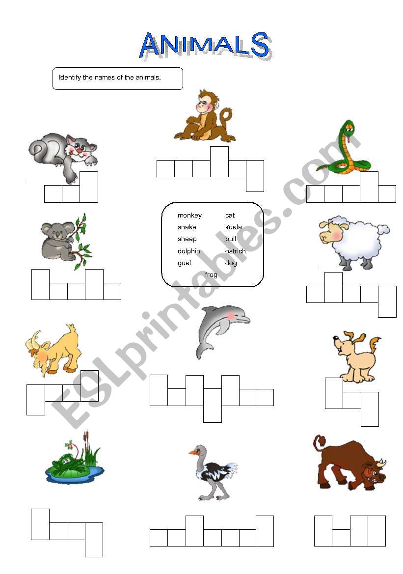 Animals (Identification) worksheet