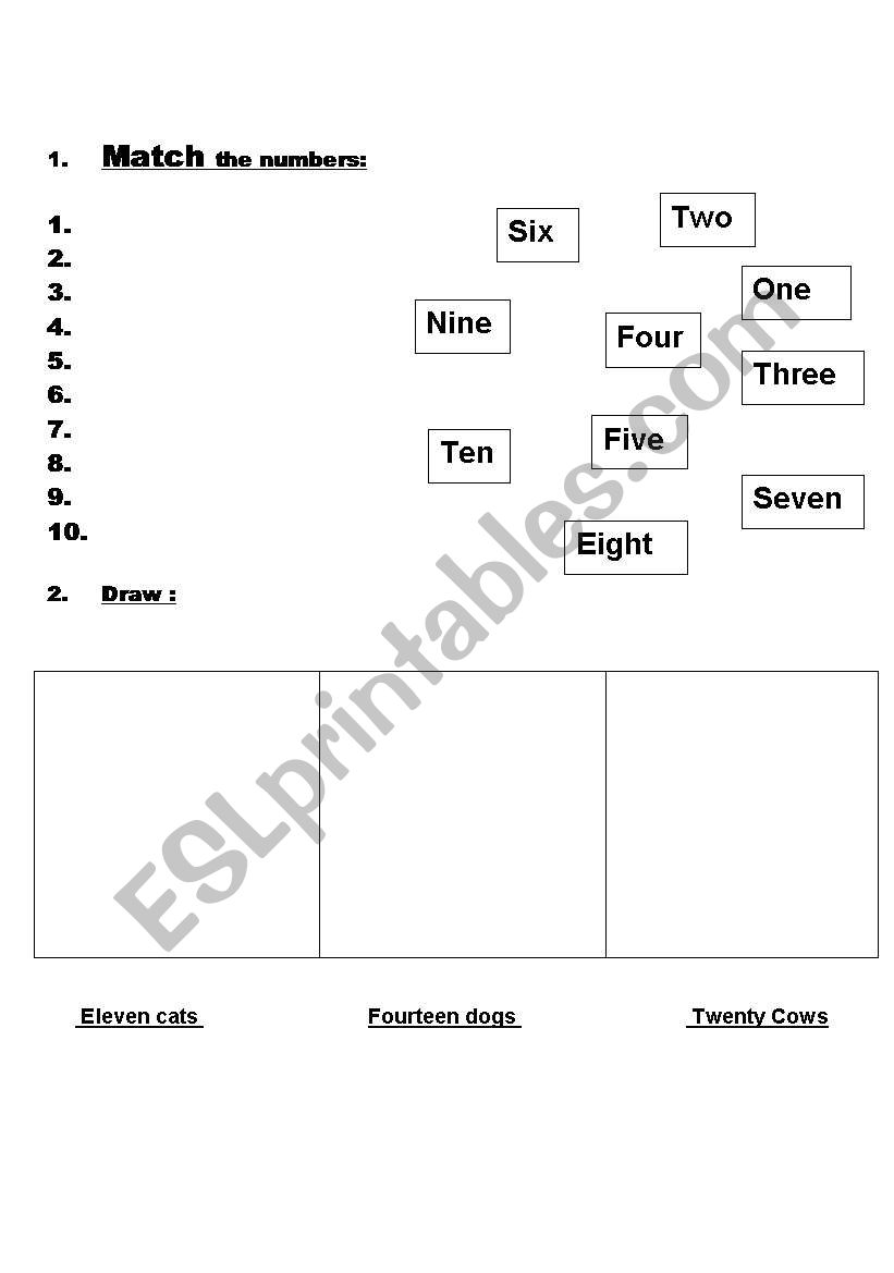 NUMBERS worksheet