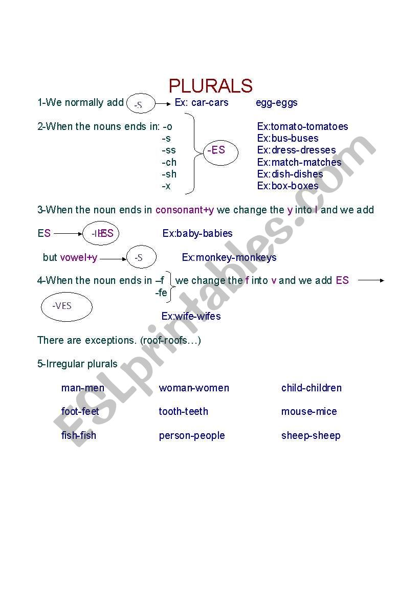 plurals worksheet