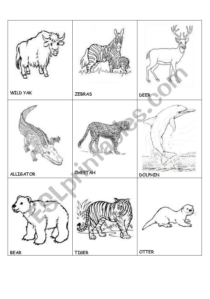 animals in danger(2) worksheet